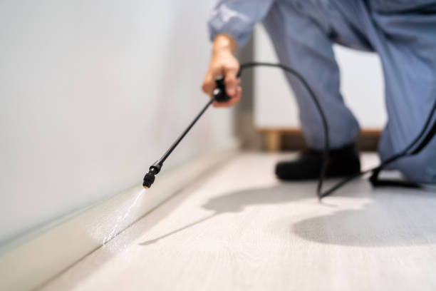 Professional exterminator conducting IPM assessment in Grissom AFB
