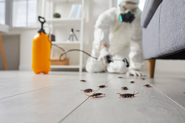 Post-Treatment Bed Bug Interceptor Monitoring in Grissom AFB