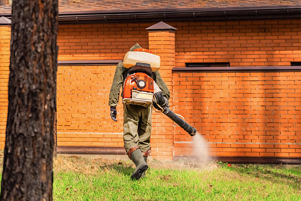 Bed Bug Clearance Verification and Documentation in Grissom AFB